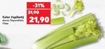 Kaufland Celer řapíkatý nabídka
