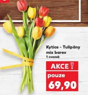 Kaufland Kytice - Tulipány mix barev nabídka