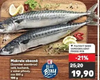 Kaufland Makrela obecná nabídka
