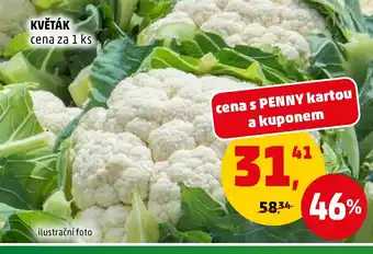 Penny Market KVĚTÁK nabídka