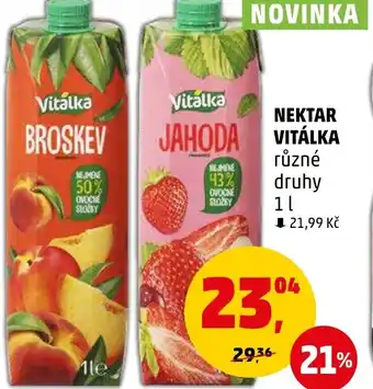 Penny Market NEKTAR VITÁLKA nabídka