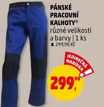 Penny Market PÁNSKÉ PRACOVNÍ KALHOTY nabídka