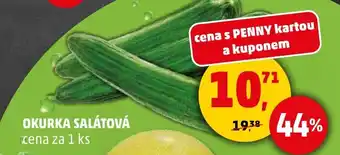 Penny Market OKURKA SALÁTOVÁ nabídka