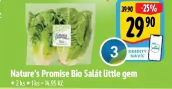 Albert Nature's Promise Bio Salát little gem nabídka