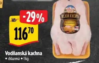 Albert Vodňanská kachna nabídka