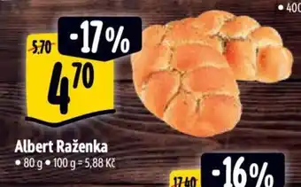 Albert Albert Raženka nabídka