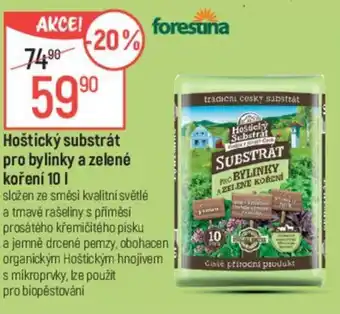 Globus Hoštický substrát pro bylinky a zelené koření 10 L nabídka
