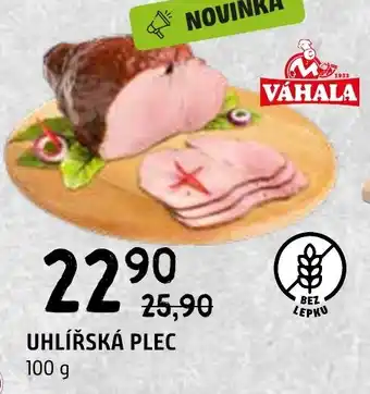 Terno UHLÍŘSKÁ PLEC nabídka