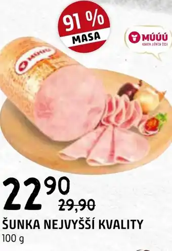 Terno ŠUNKA NEJVYŠŠÍ KVALITY nabídka