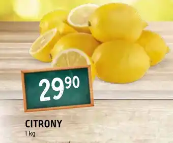 Terno CITRONY nabídka