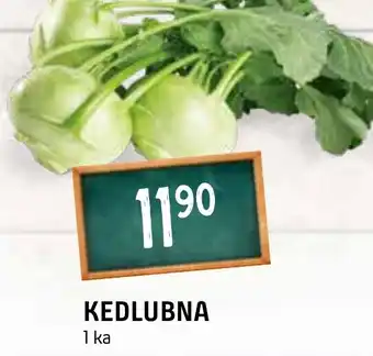 Terno KEDLUBNA nabídka