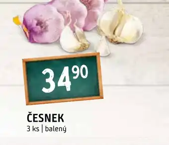 Terno ČESNEK nabídka