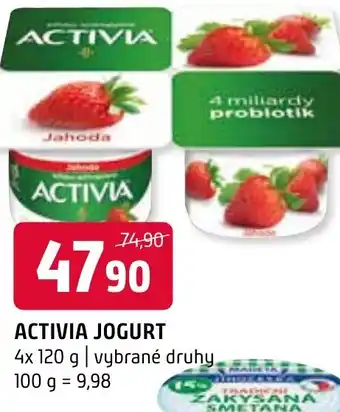 Terno ACTIVIA JOGURT nabídka