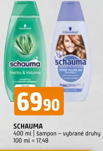 Terno SCHAUMA nabídka
