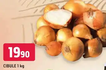 Trefa CIBULE 1 kg nabídka