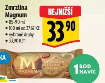 Albert Zmrzlina Magnum nabídka