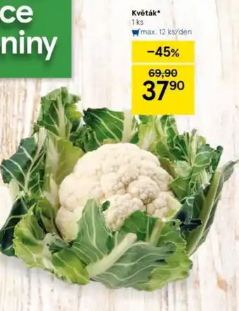 Tesco Květák nabídka