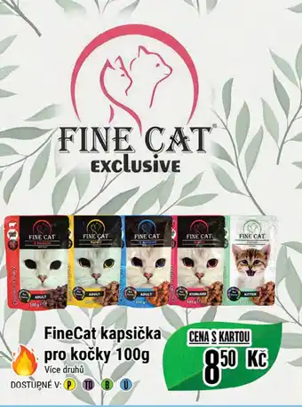 Tamda Foods FineCat kapsička pro kočky 100g nabídka