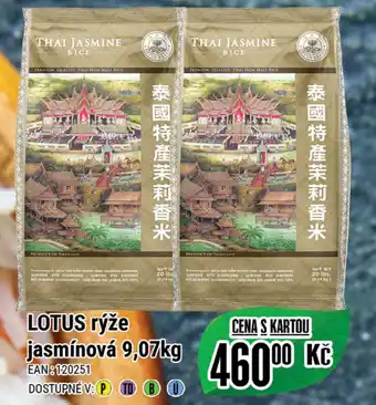 Tamda Foods LOTUS rýže jasmínová 9,07kg nabídka