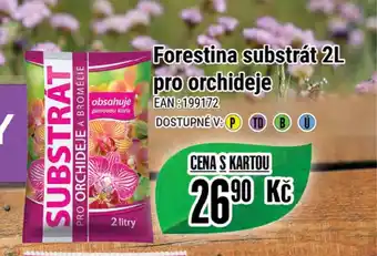Tamda Foods Forestina substrát 2L pro orchideje nabídka