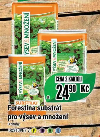Tamda Foods Forestina substrát pro výsev a množení nabídka