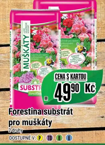 Tamda Foods Forestina substrát pro muškáty nabídka