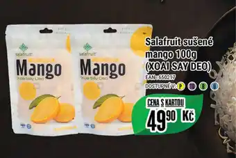 Tamda Foods Salafruit sušené mango 100g (XOAI SAY DEO) nabídka
