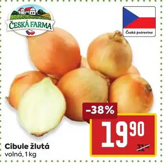 Cibule žlutá