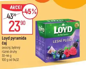 Globus Loyd pyramida čaj nabídka