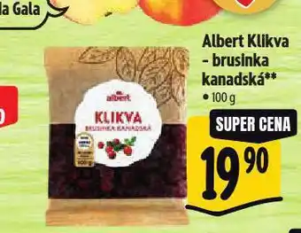 Albert Klikva brusinka kanadská nabídka