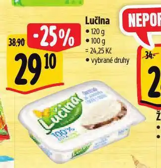 Albert Lučina nabídka