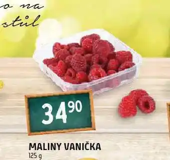 Terno Maliny nabídka
