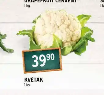 Terno Květák nabídka