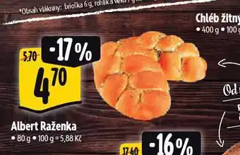 Albert Albert raženka nabídka