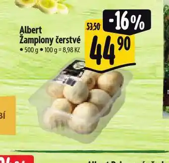 Albert Žampiony čerstvé nabídka