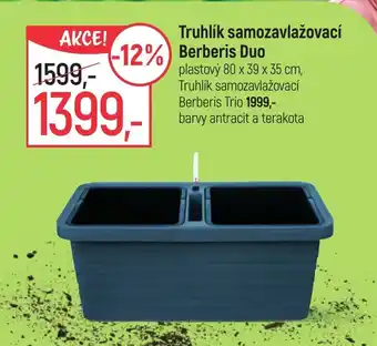 Truhlík samozavlažovací Berberis Duo