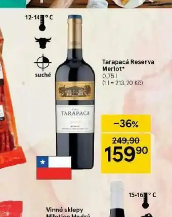 Tesco Tarapacá reserva merlot nabídka