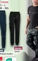 Norma Dámské sportovní kalhoty nabídka