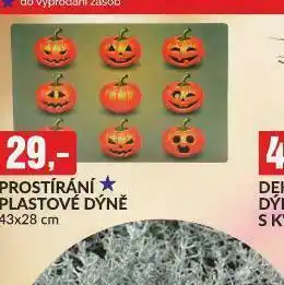 Prostírání plastové dýně