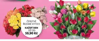 Lidl Čerstvé řezané kytice nabídka