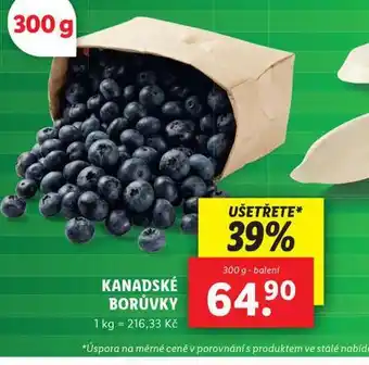Lidl Kanadské borůvky nabídka