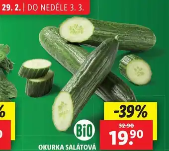 Lidl Okurka salátová nabídka