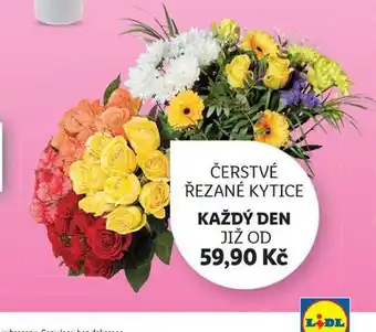 Lidl Čerstvé řezané kytice nabídka