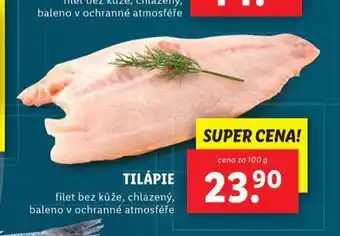 Lidl Tilápie nabídka