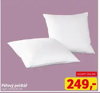 Asko Péřový polštář nabídka