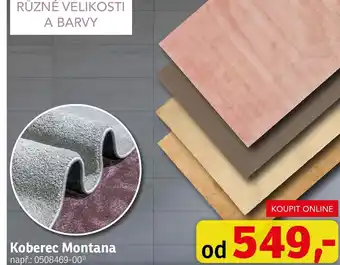 Asko Koberec Montana nabídka