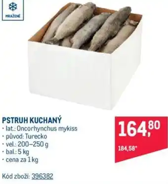 Makro PSTRUH KUCHANÝ nabídka