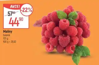 Globus Maliny nabídka