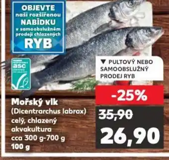 Kaufland Mořský vlk nabídka