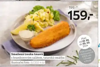 Smažená treska tmavá